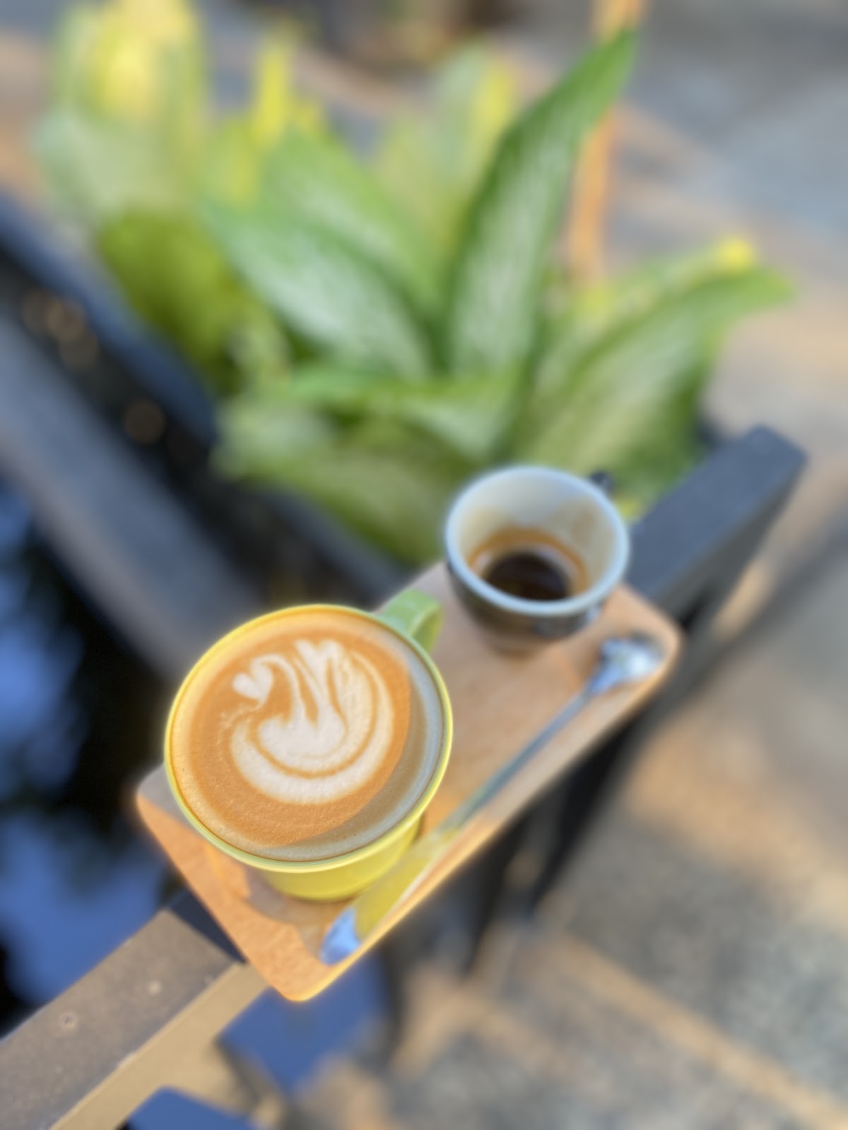 Ale Coffee Roastery - foto 4