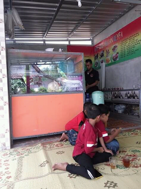 Angkringan gaul — Kulon Progo