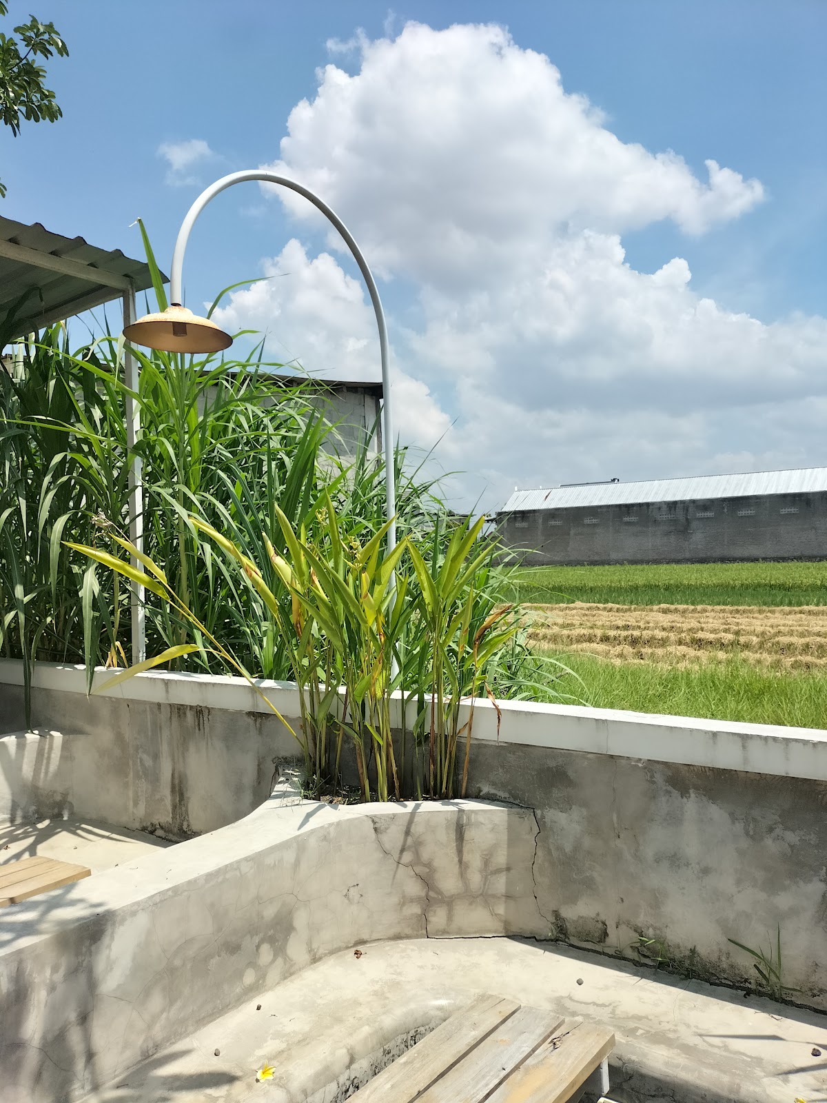 Angkringan Sekawan Jogja - Spesial Kopi Temanggung - foto 5