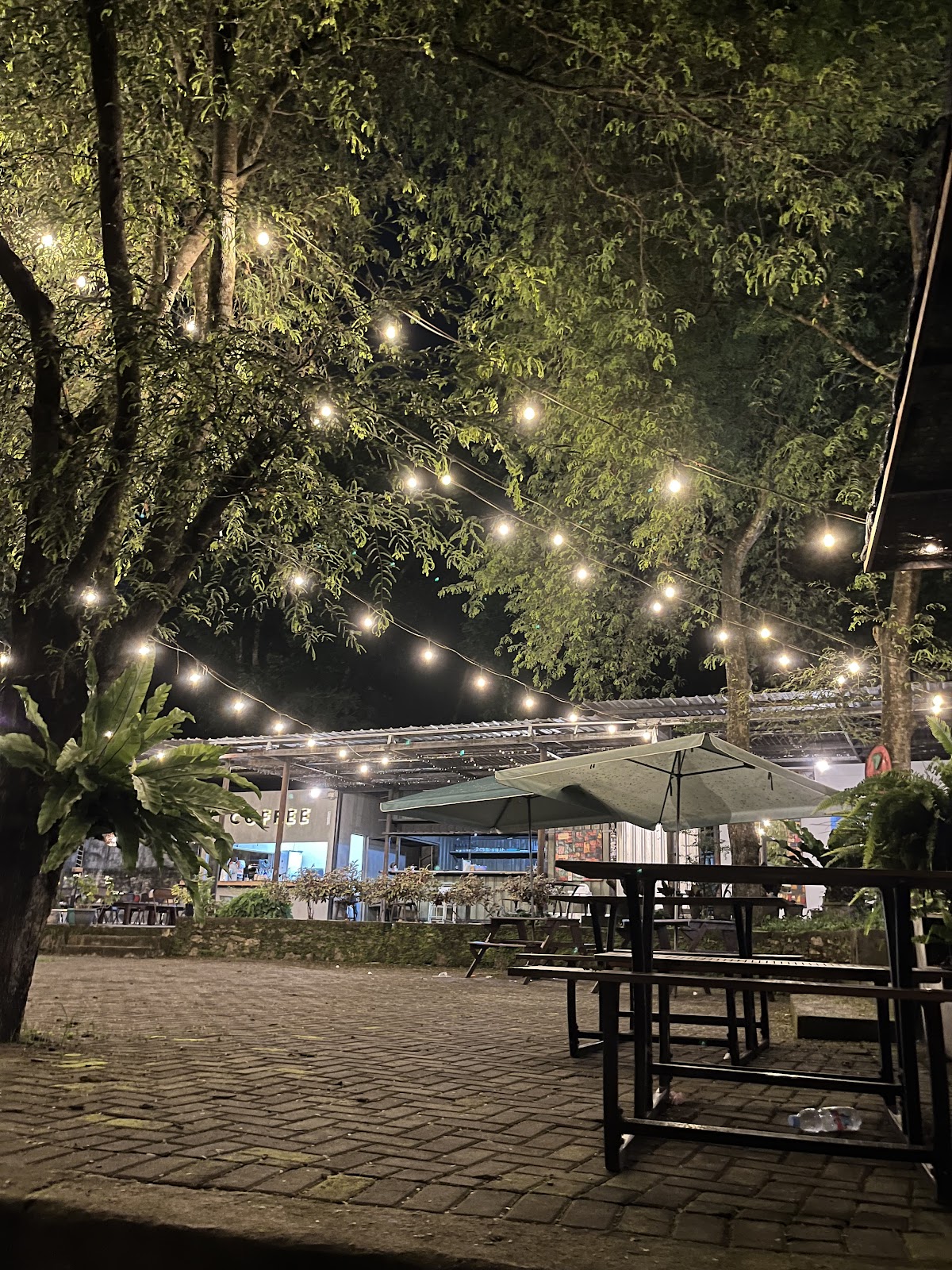 Kopi Randu Bibis - foto 5