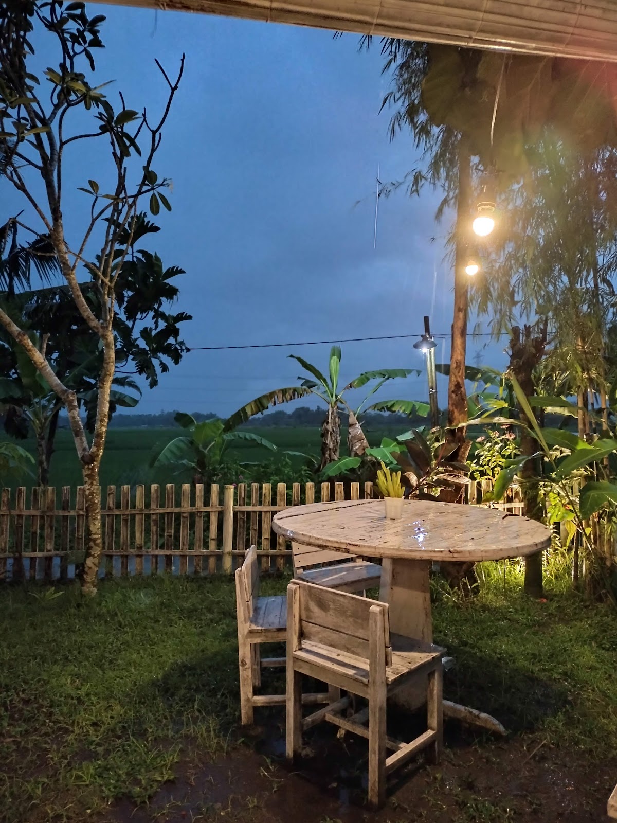 Kopi Wongso — Bantul