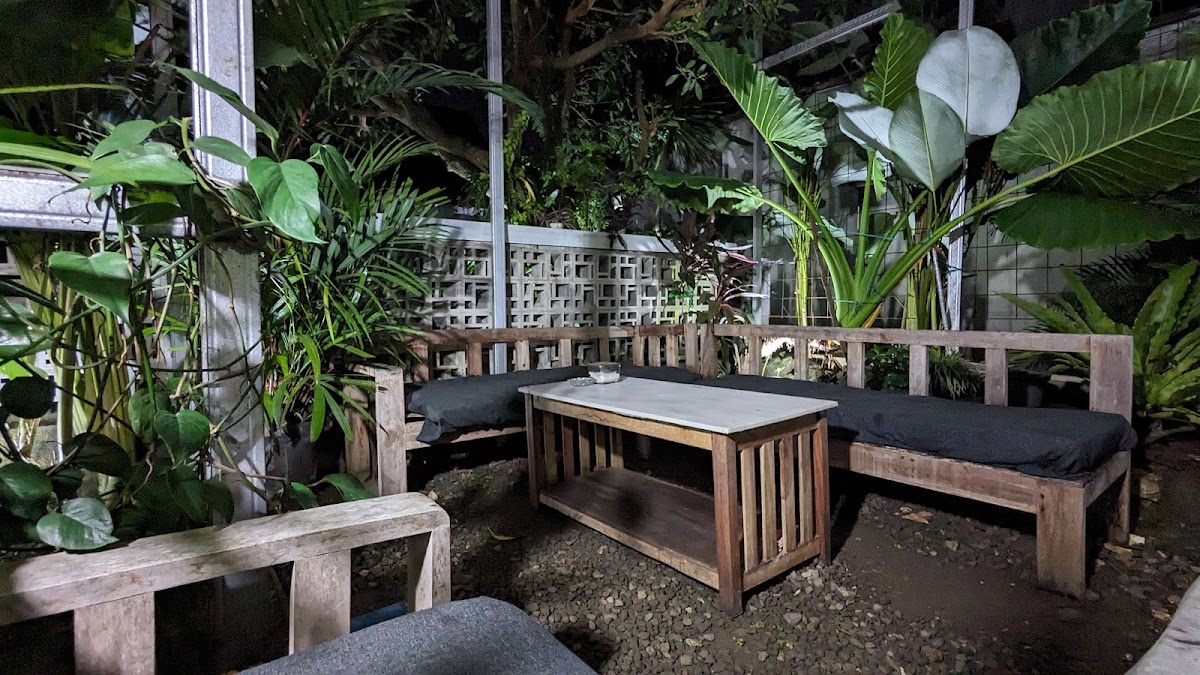 MOUNTAIN PLEASURE Coffee — Gunungkidul