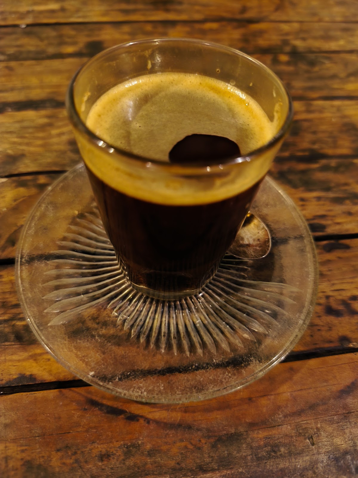 Sabana Tak Bertepi - foto 5