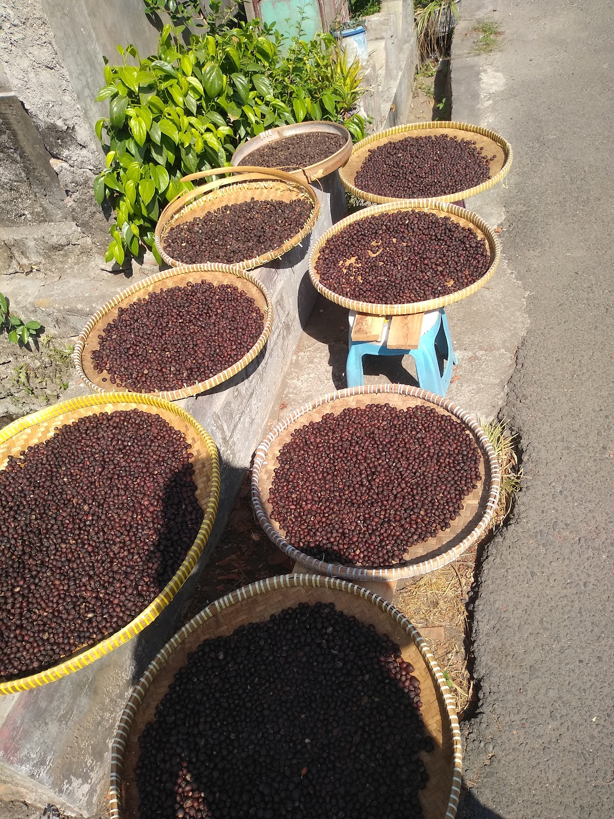 Suksma Coffee and Roastery — Bantul