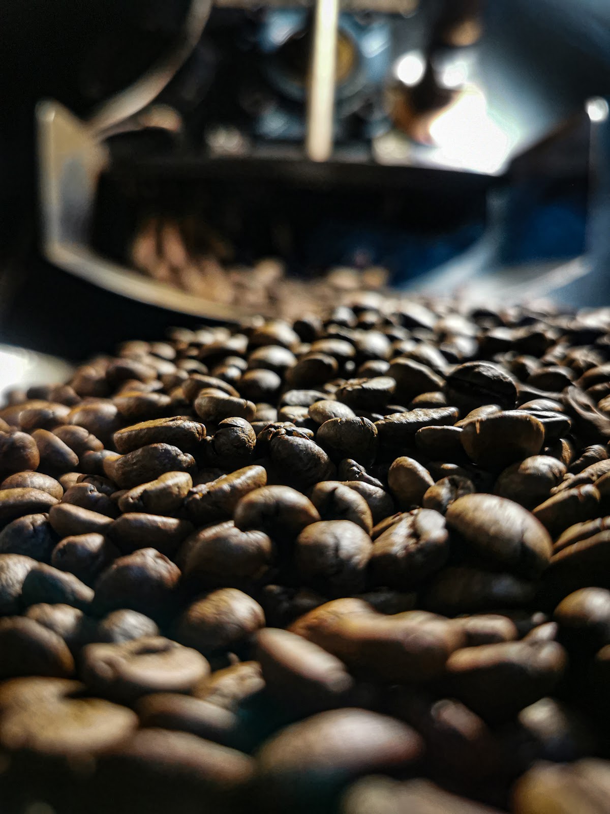 the creator coffee — Umbulharjo